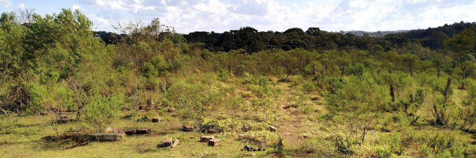 Metodologia de Trabalho